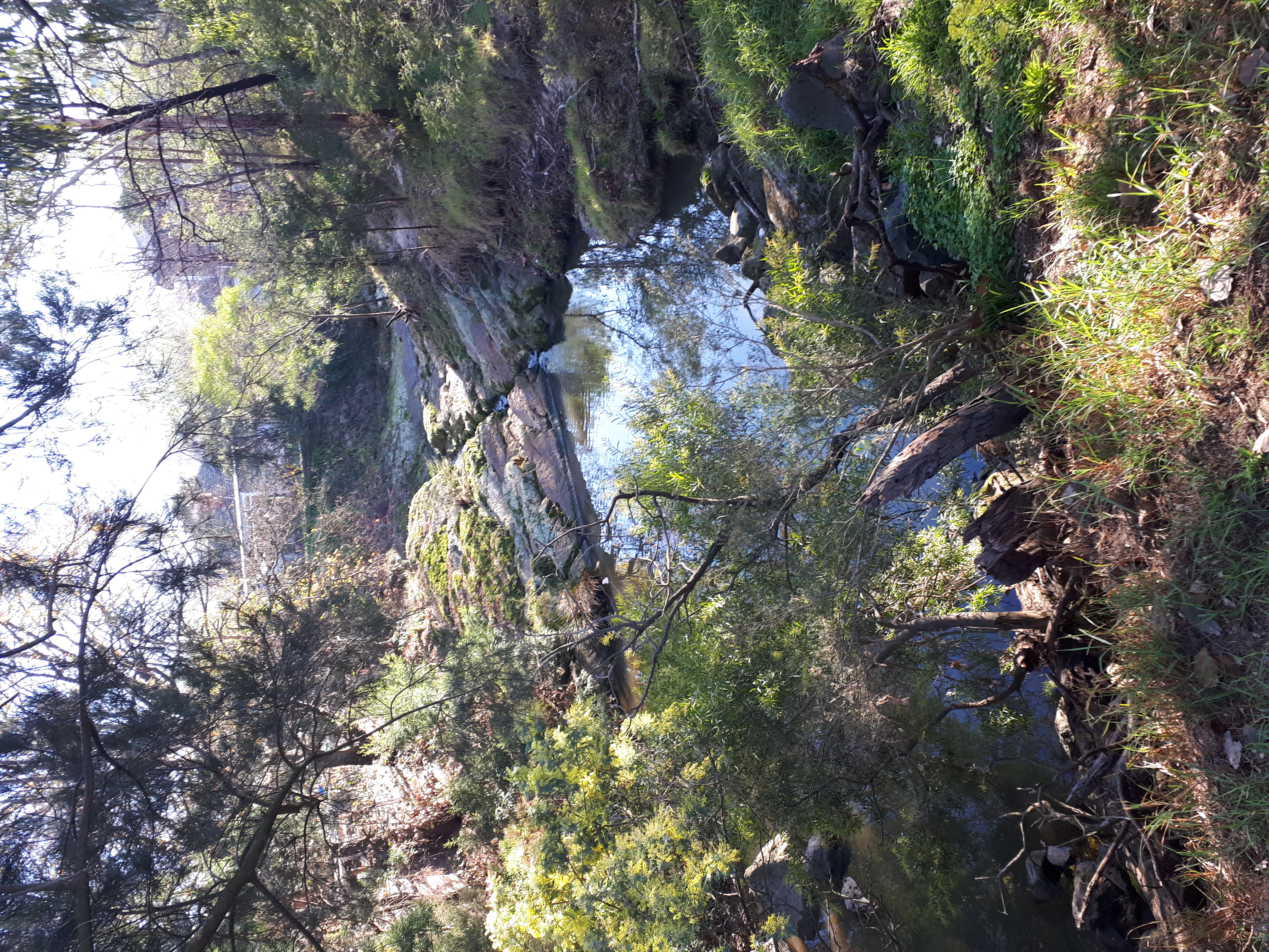 Back creek after heavy rain