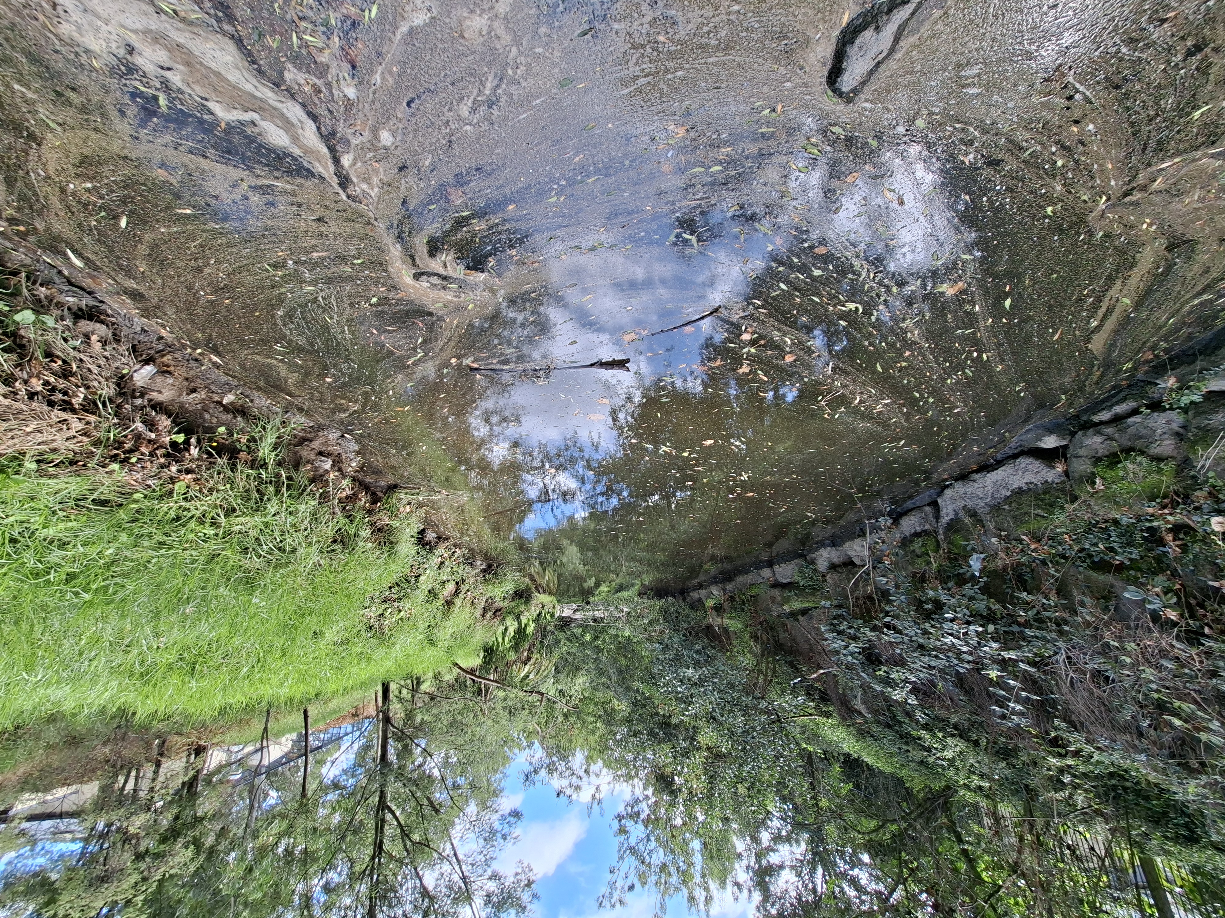 Upstream view from Back Creek testing station